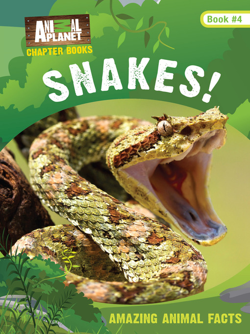 Title details for Snakes! by Lori Stein - Available